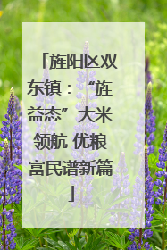 旌阳区双东镇：“旌益态”大米领航 优粮富民谱新篇